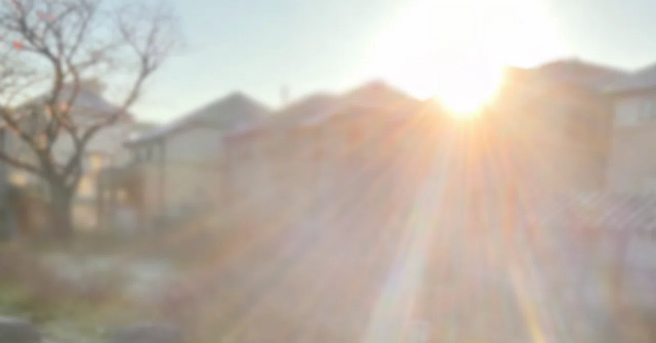 10. When I was a child, the world was made of 'particles of light ...