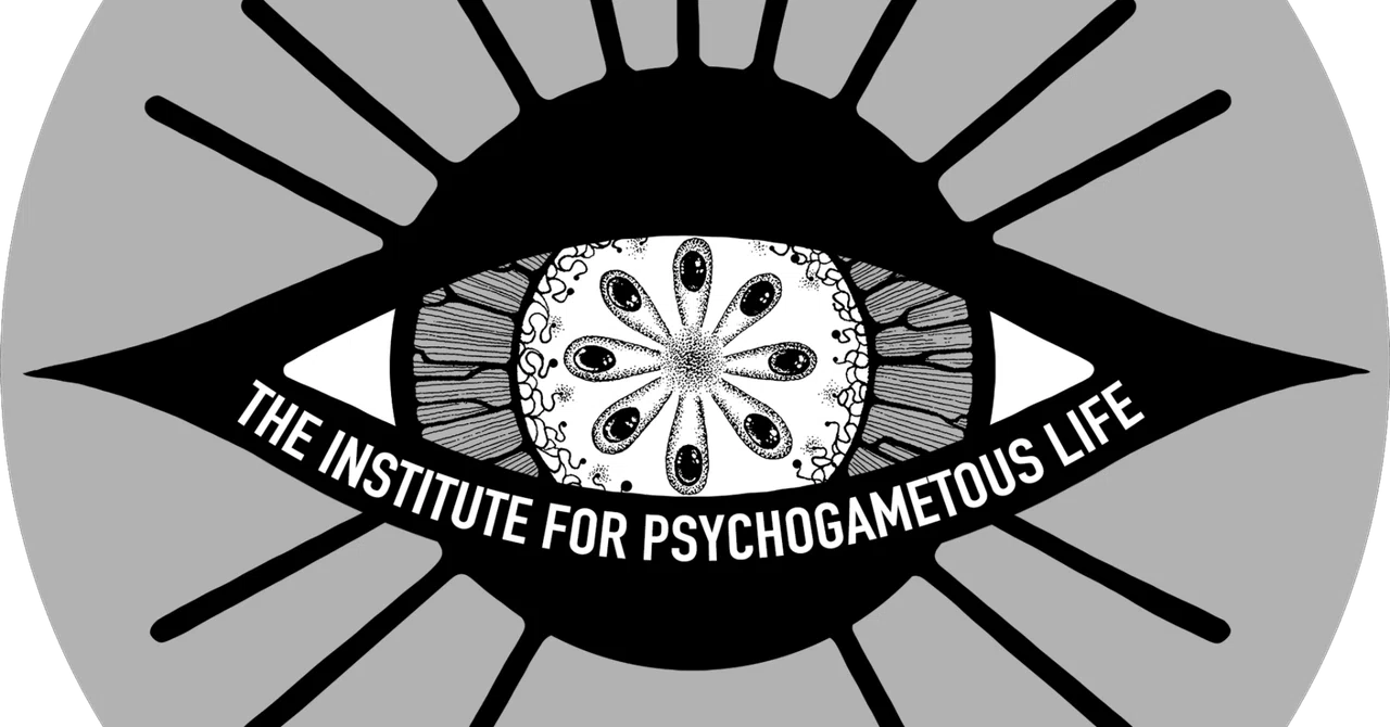 Xenopoetics: Writing Principles for the Posthuman Era｜ケンジ・シラトリ Kenji ...