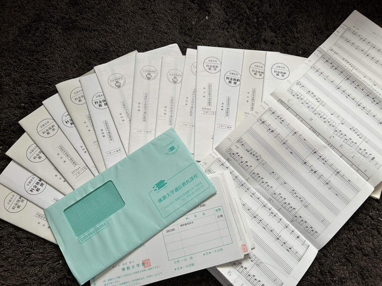 佛教大学　通信課程　小学校免許　テキスト33冊セット　(おまけ:合格レポート) 佛教大学 通信課程 小学校免許 テキスト33冊セット (おまけ:合格