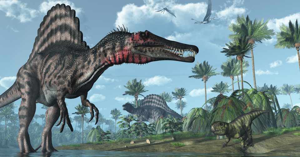 ジュラシック パーク3の主役スピノサウルスは水中恐竜だった ニュースネタ オモシロなんでも雑学 公式 Note