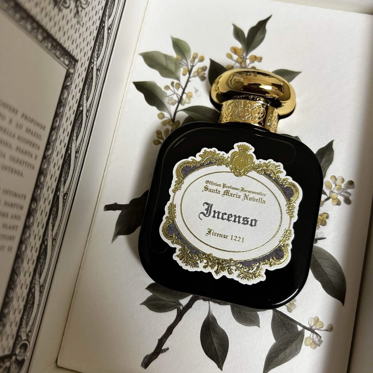サンタマリアノヴェッラ incensoインチェンソ50ml 【公式通販】