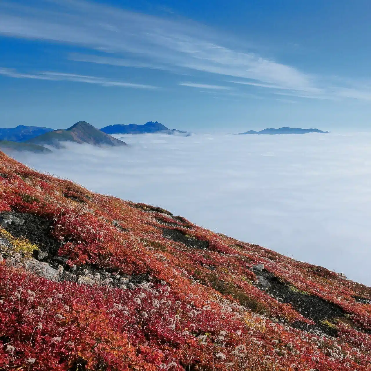 風景写真　四季の山旅