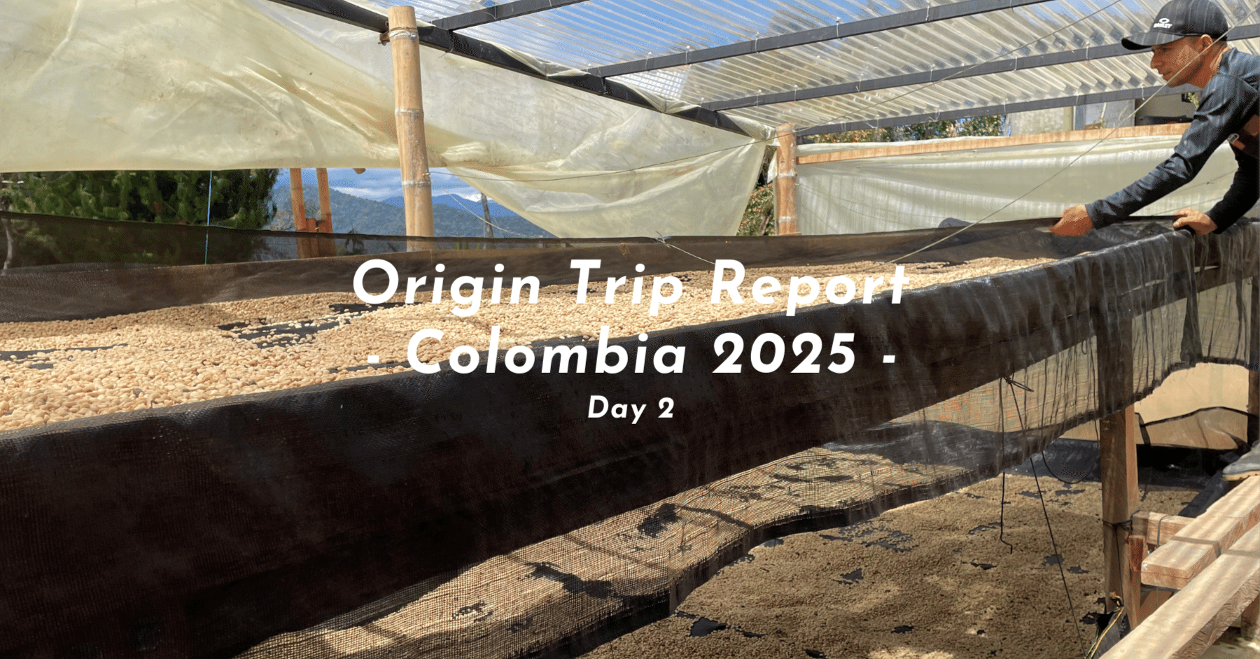 Origin Trip Report - Colombia 2025 - Day2/Part2】｜松村恵佑