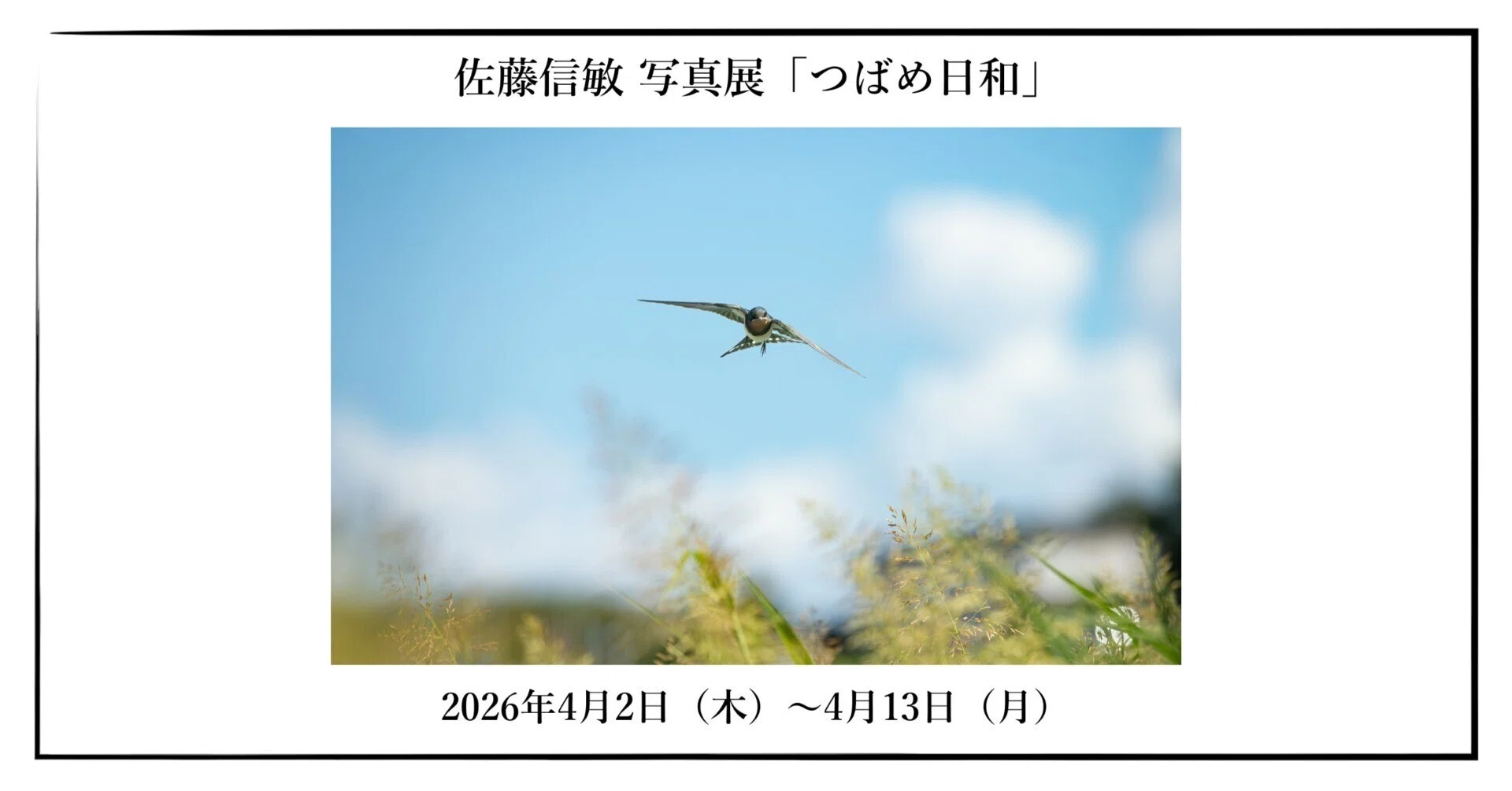 2026年4月2日（木）～4月13日（月） 佐藤信敏 写真展「つばめ日和