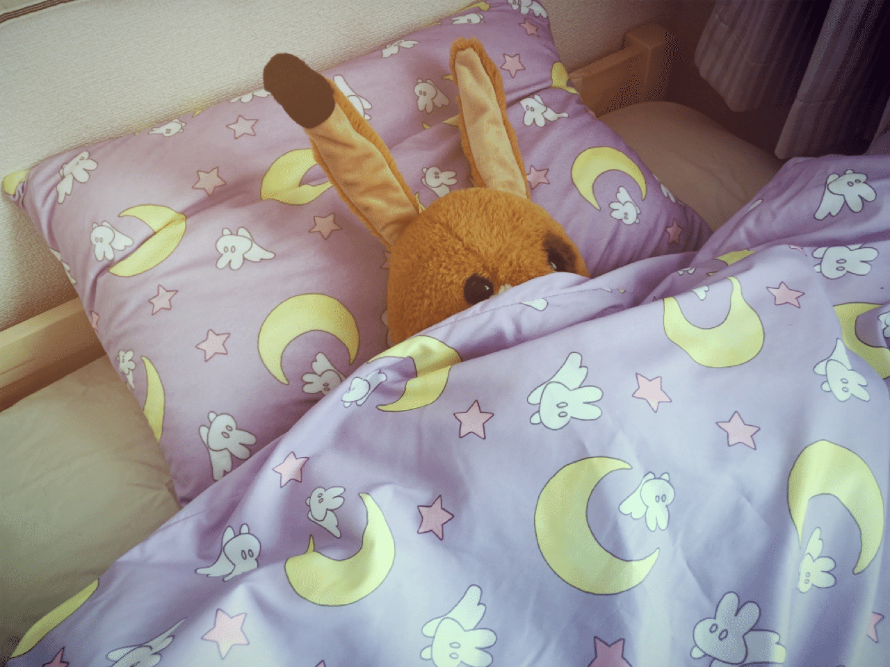 51ad89e6e0883828dd5fe9d3d4e2f1