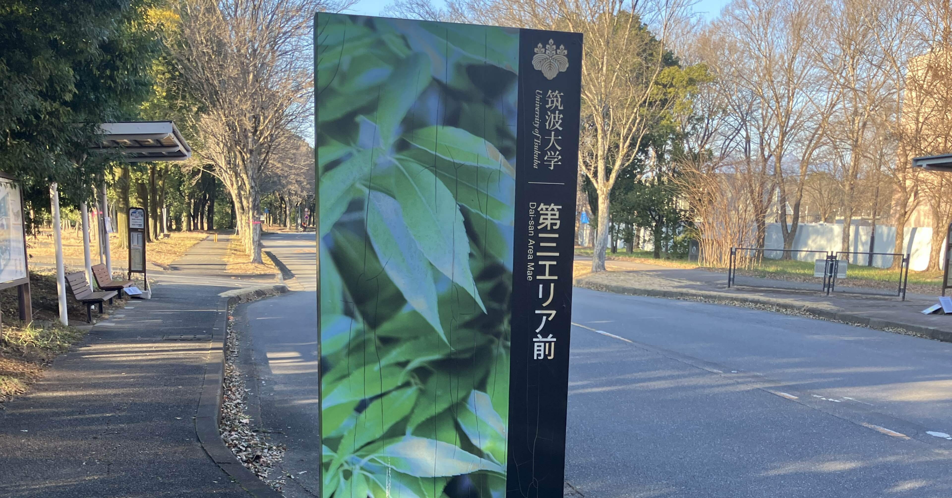 令和8年度 筑波大学 情報学群・情報科学類 編入合格体験記｜yaimi