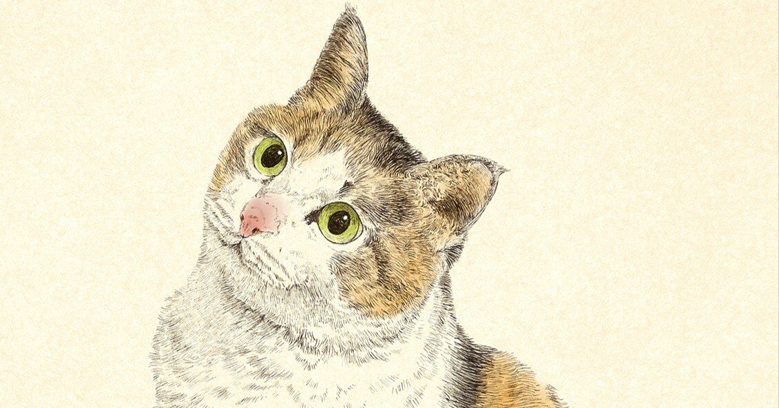 秘密にしたい猫を描きました｜こひろ｜ペン画