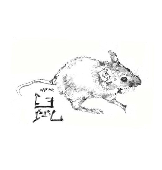 ネズミ 墨絵 米山史朗 Note