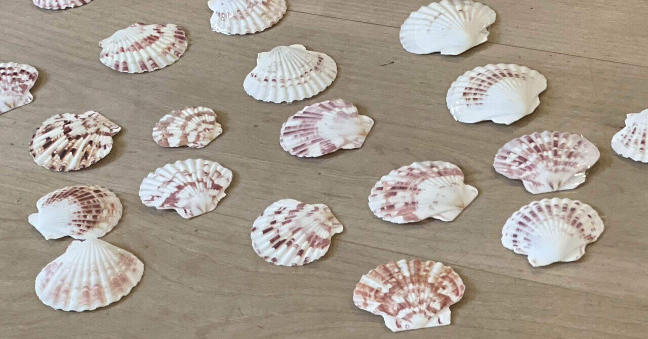 貝殻です。質問してください。 貝殻すいじやく｜銀木犀＜川崎＞