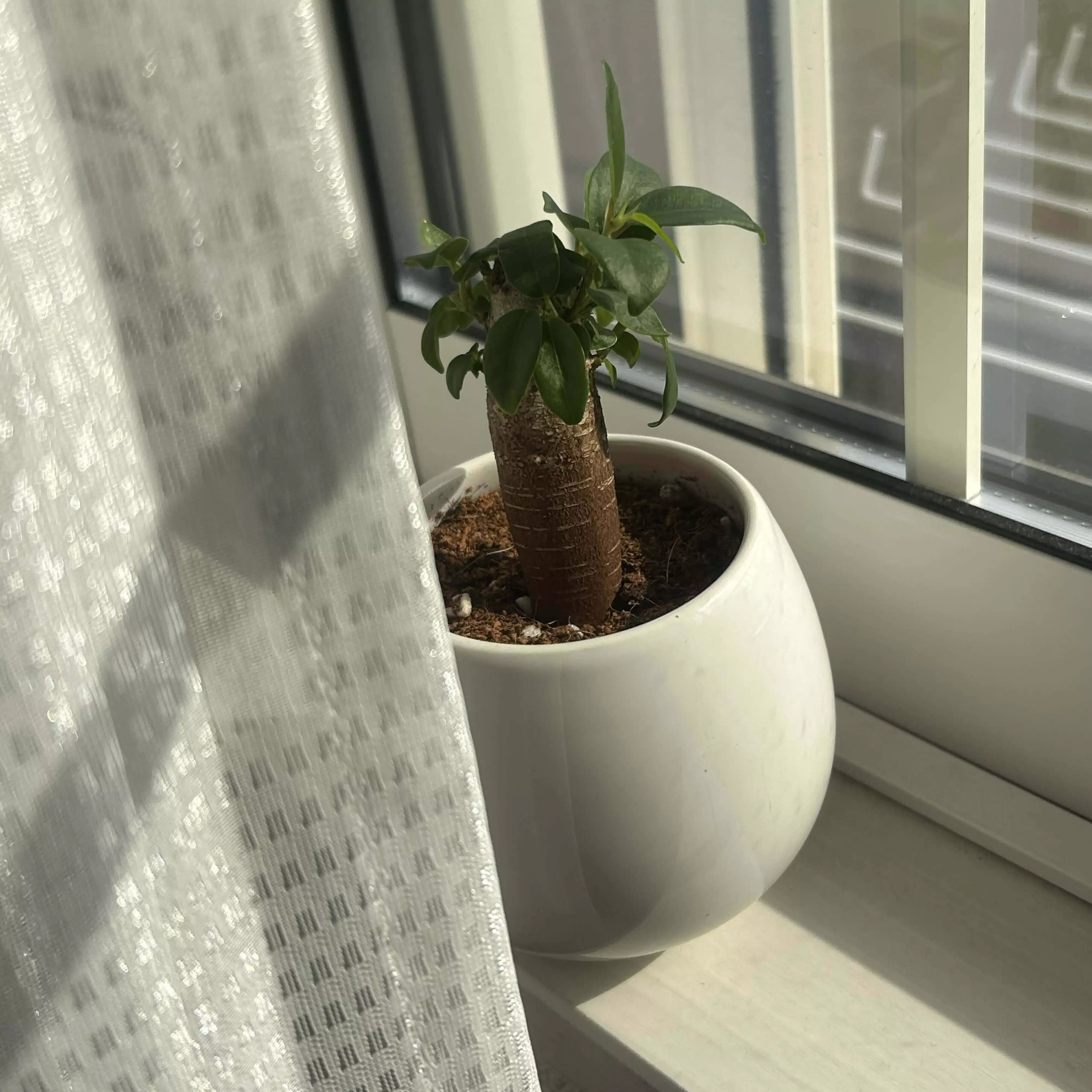 自分に優しく丁寧に