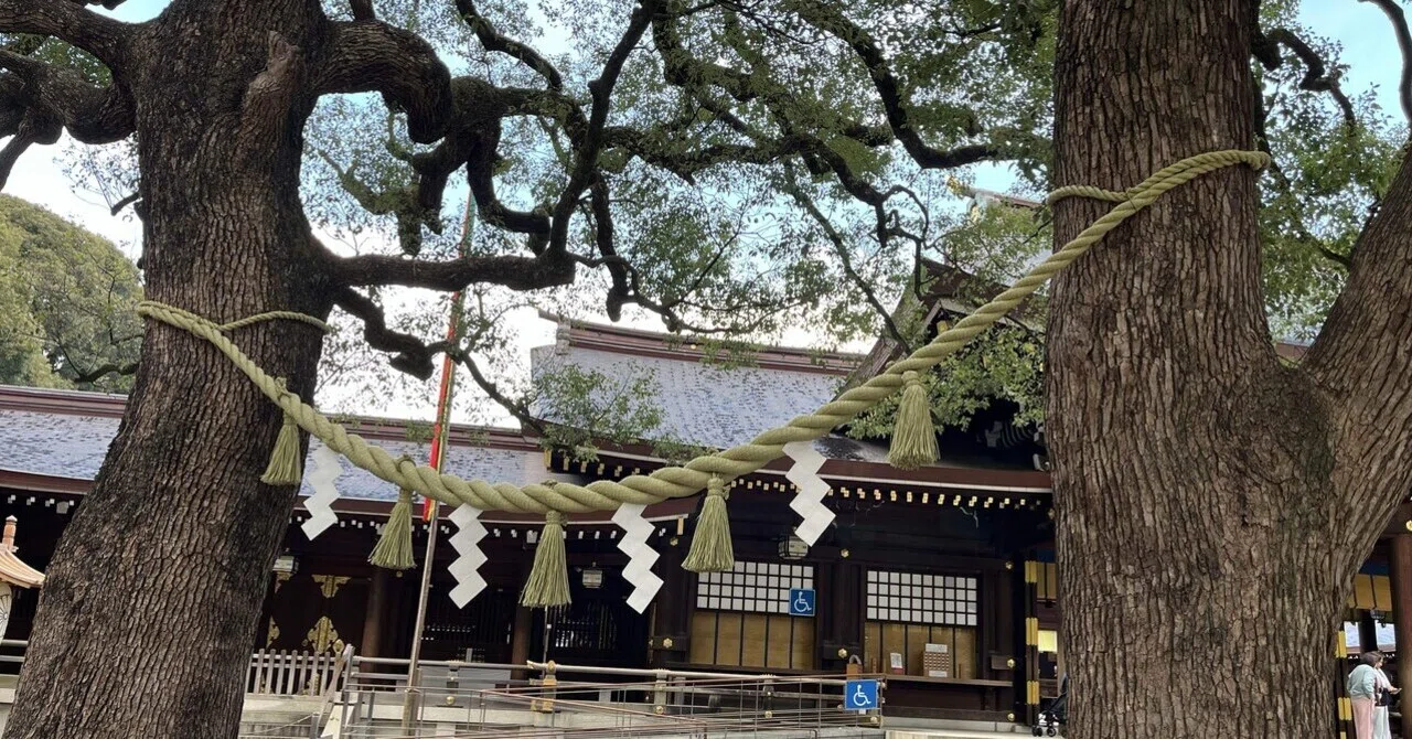 At the End of the Year of the Wood Snake: Reflection to Move Toward the ...