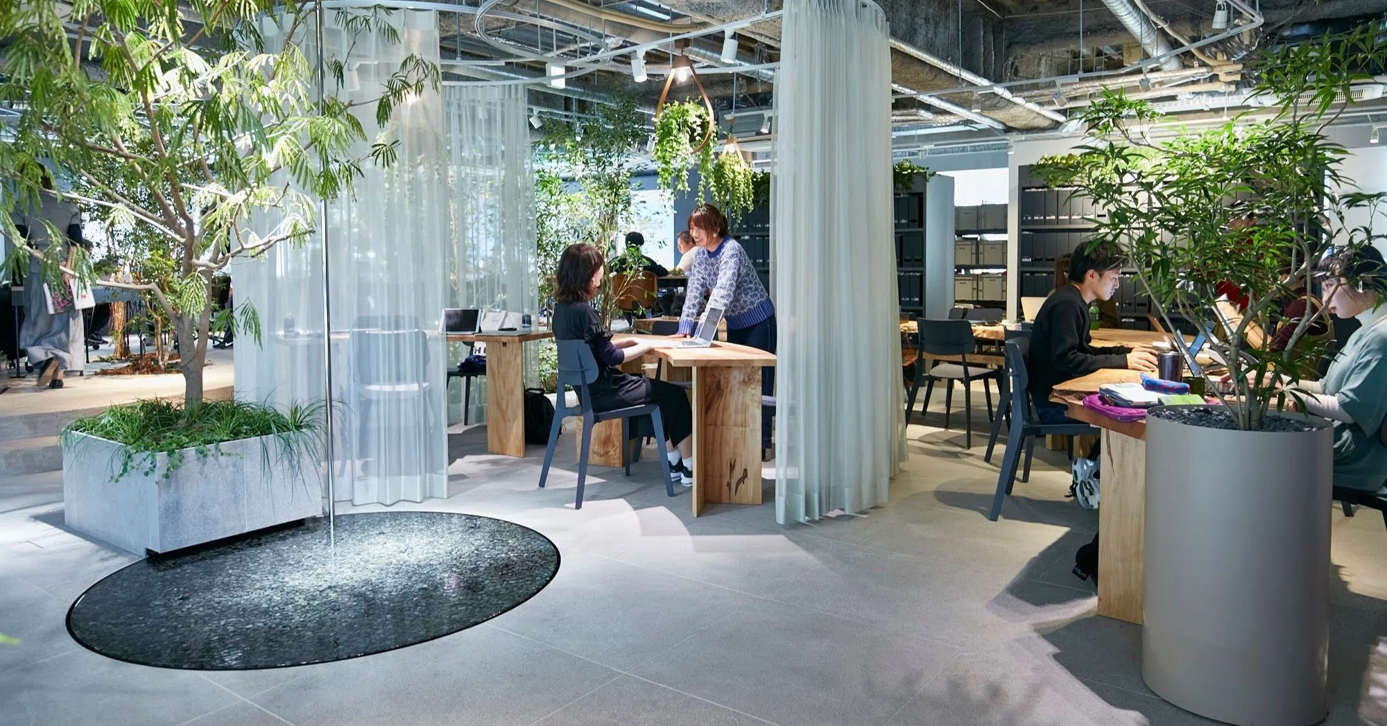公園」を軸に創ったparkERsのオフィスを誌面で体感！ 商店建築&GREEN
