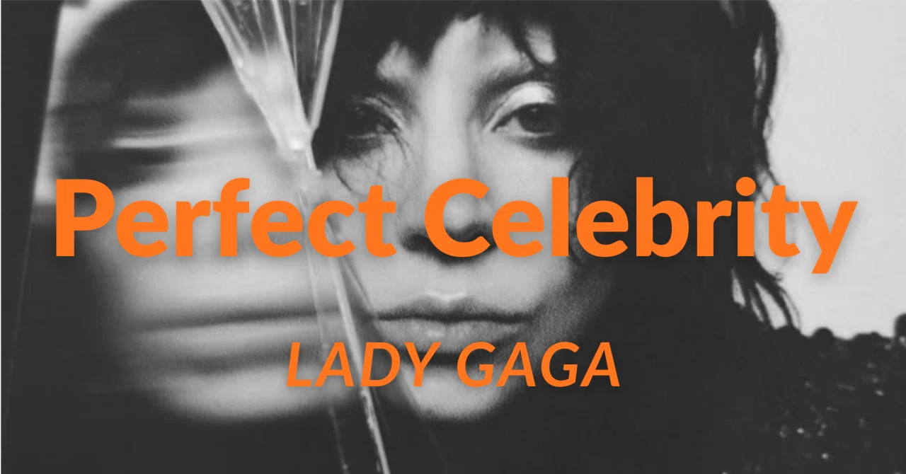 Perfect Celebrity