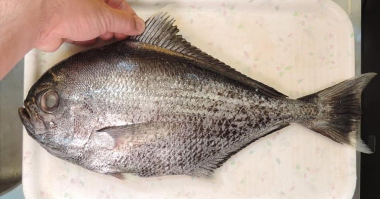 エチオピアをカレーにしたよ よこ Note