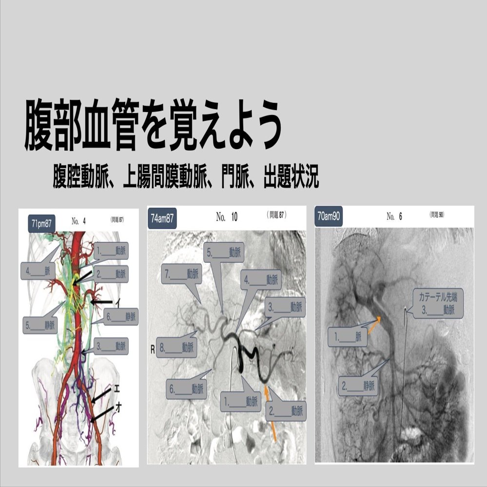 腹部血管造影ハンドブック Bayer 造影剤ハンドブック | 画像診断情報サイト Bayer in Radiology
