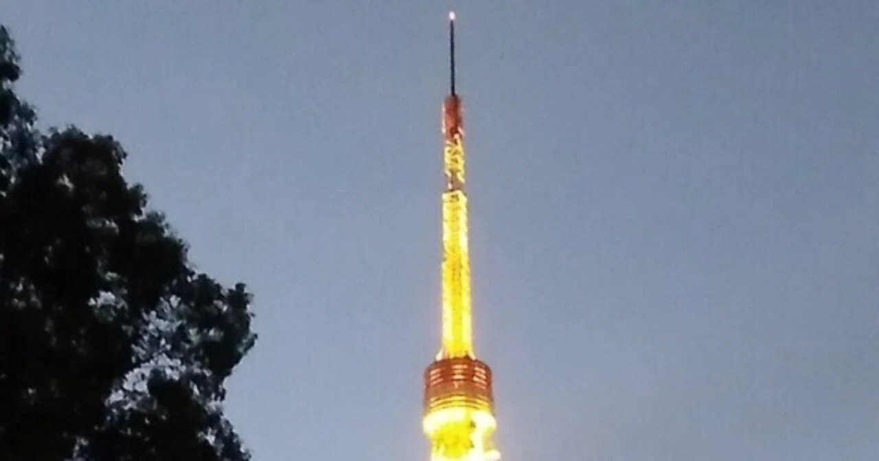 昔🗼東京タワーが車窓から見て奇麗だ！と思った角度を再現。もっと暗い