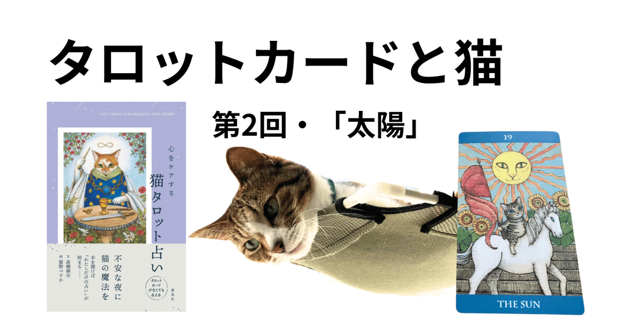タロットカードと猫〜第2回「太陽」お日様の匂いの猫と、感覚タイプの