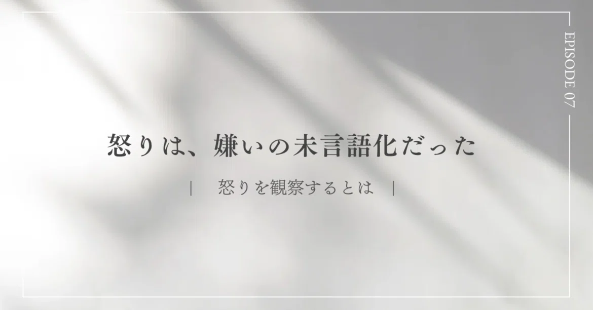 Anger was an unarticulated dislike｜きょうこ｜自分を観察するスキルと子育て