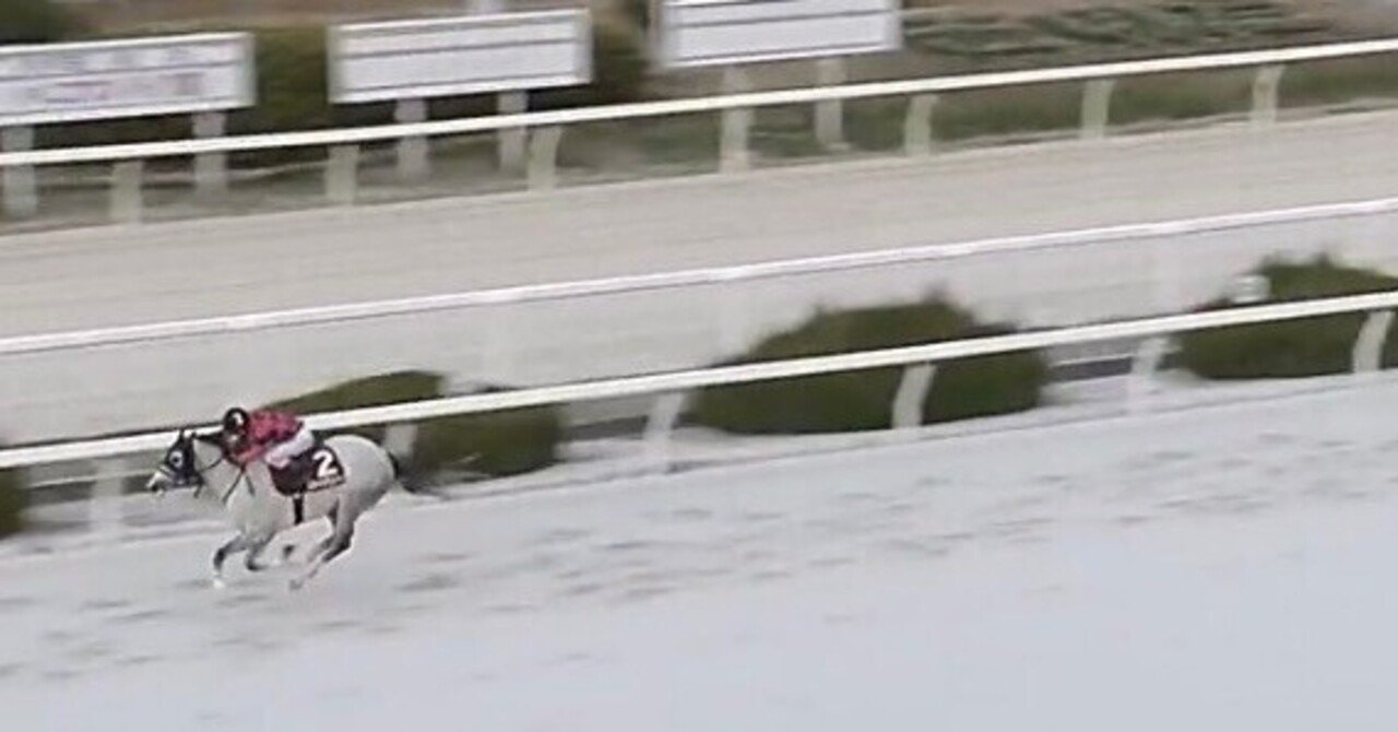 2026年1月16日 大井競馬｜yume【ライター】 × Waka【AI開発】