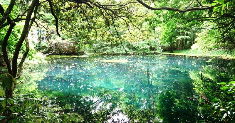 みお 私の大切な名前 みお T Note