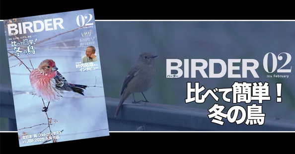今月のBIRDER｜ブンイチ（文一総合出版）｜note