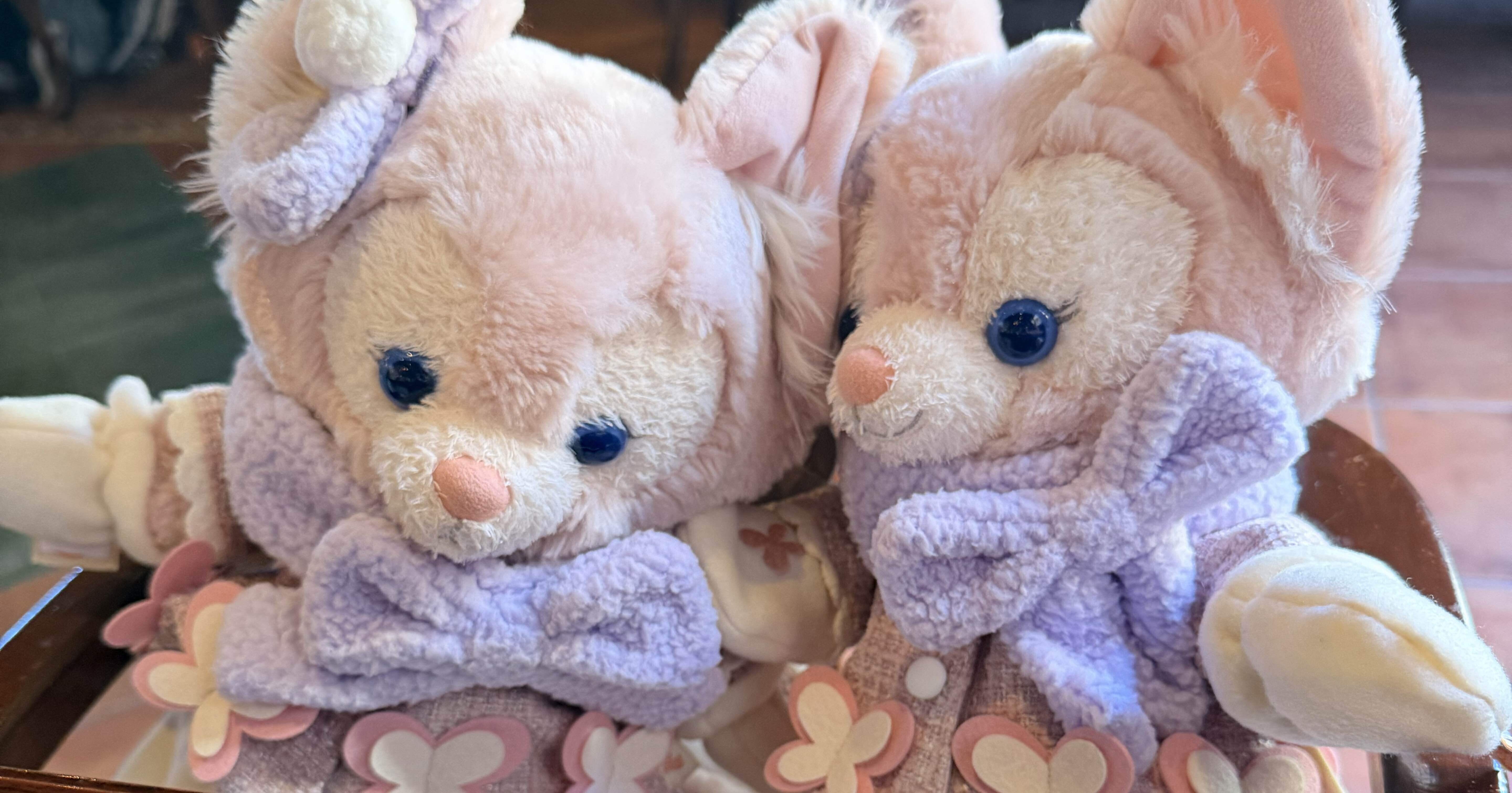 ❄️真冬の東京ディズニーシー②｜ルーステラ