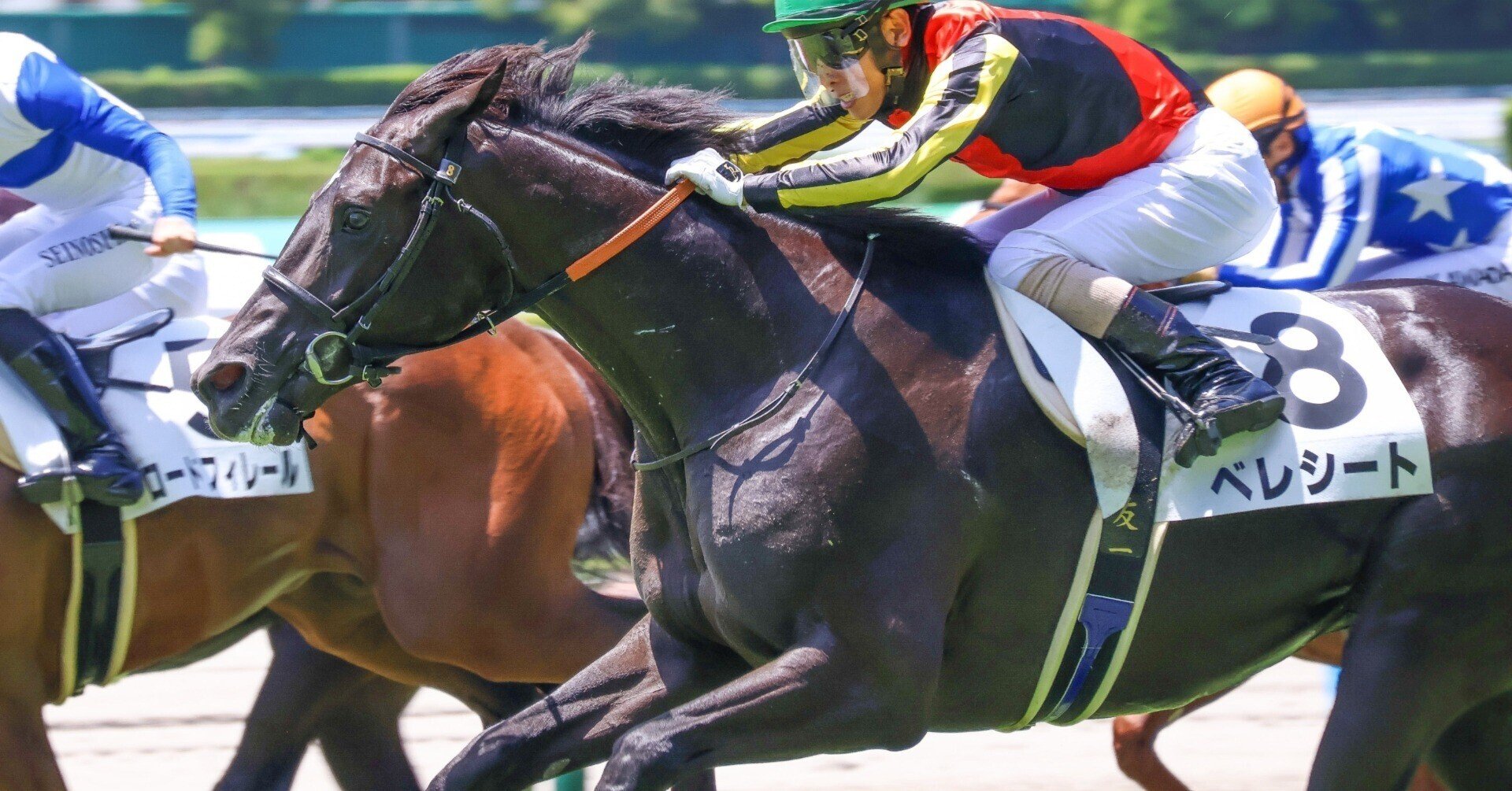 クロワデュノールと2025年日本ダービー考察｜ぱねす