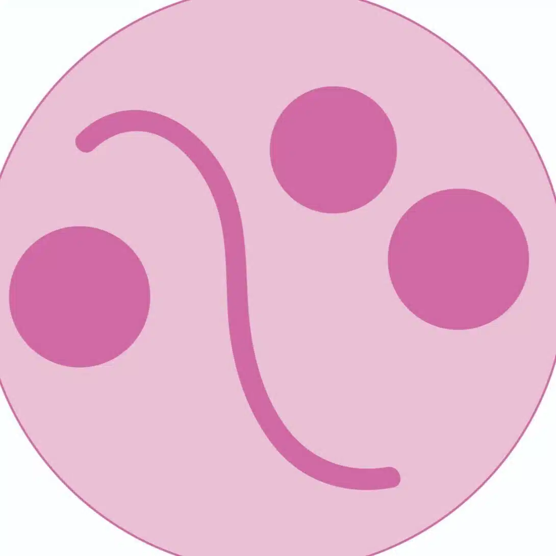 こころ