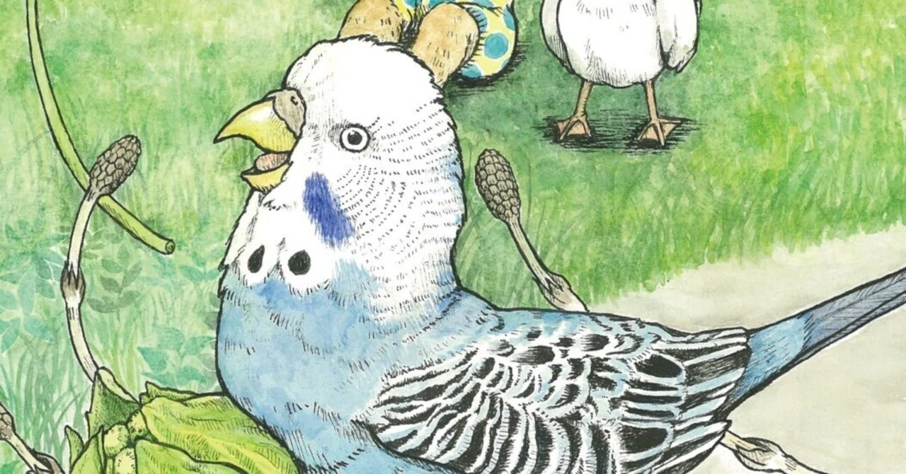 絵本】暴れんぼバードの小鳥神｜鳥と獣