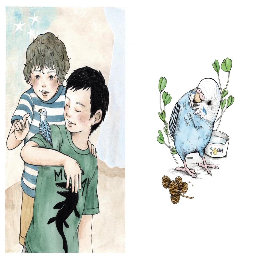 絵本】暴れんぼバードの小鳥神｜鳥と獣