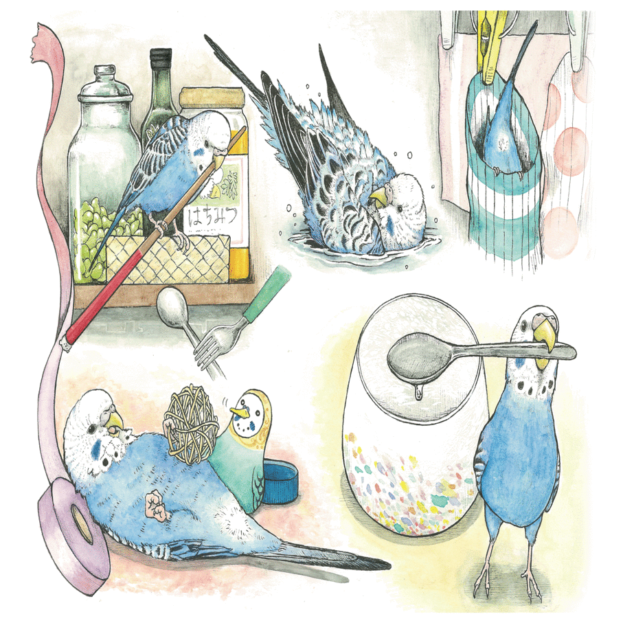 絵本】暴れんぼバードの小鳥神｜鳥と獣