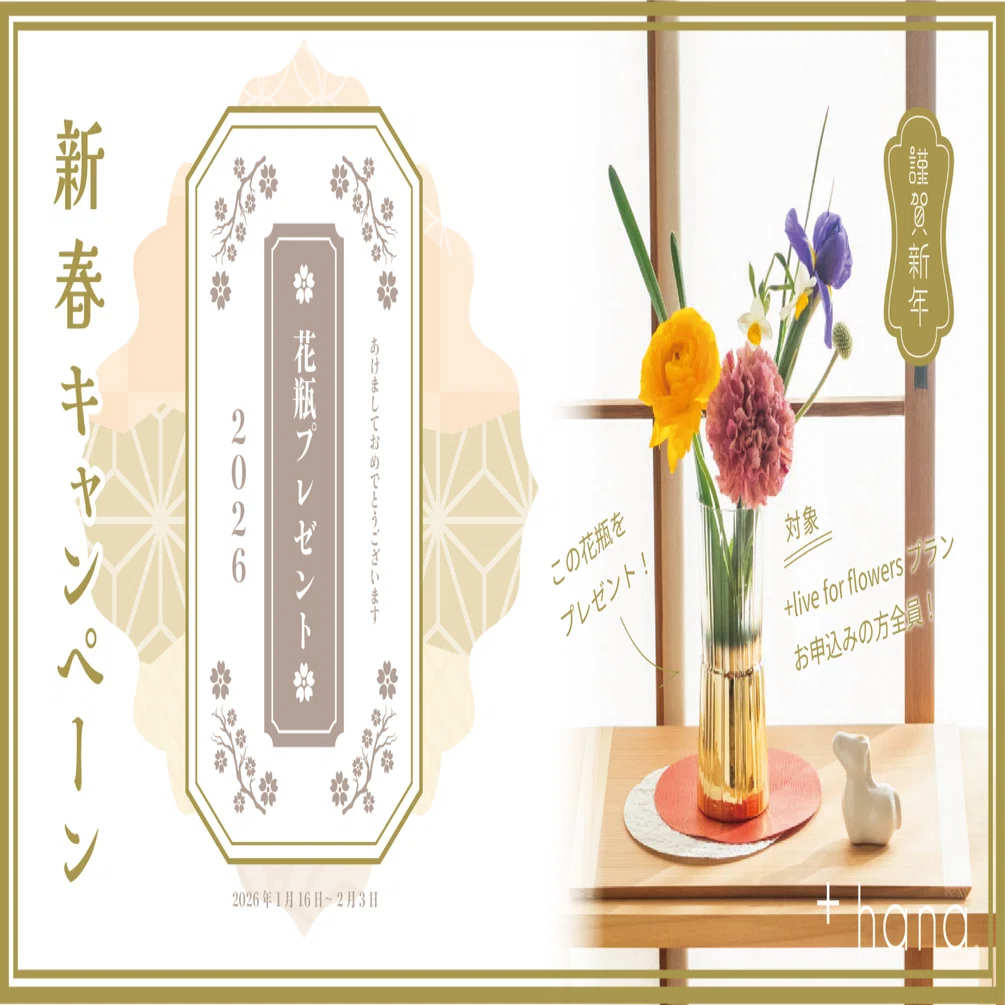 新春御礼！+hana 2026年 あけまして花瓶プレゼントキャンペーン」+live