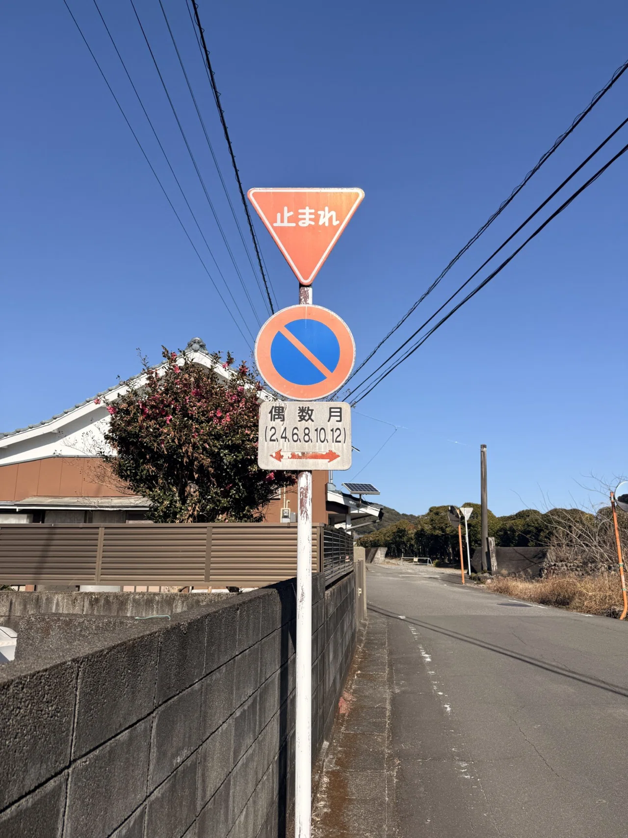 偶数月と奇数月でルールが変わる、不思議な駐車禁止標識｜神楽坂つむり