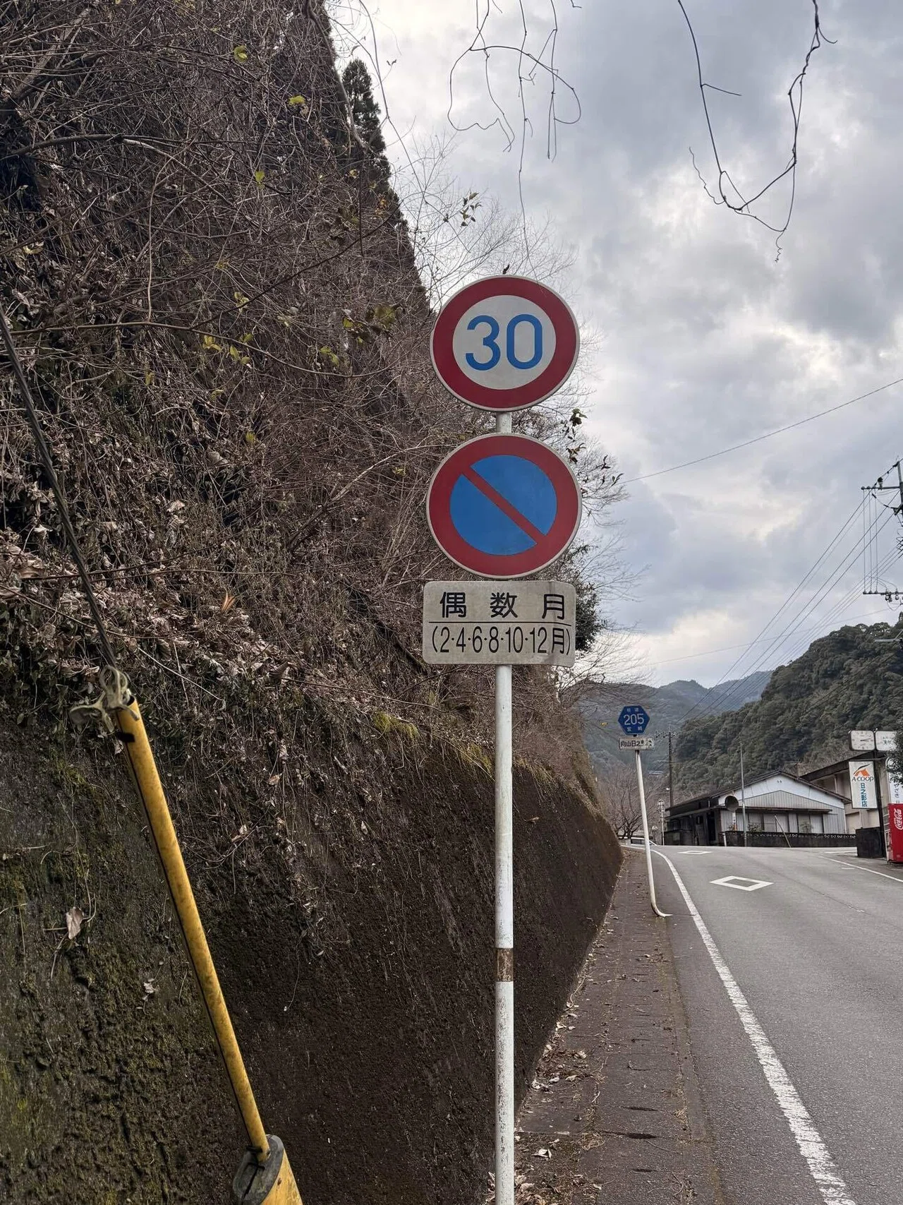 偶数月と奇数月でルールが変わる、不思議な駐車禁止標識｜神楽坂つむり
