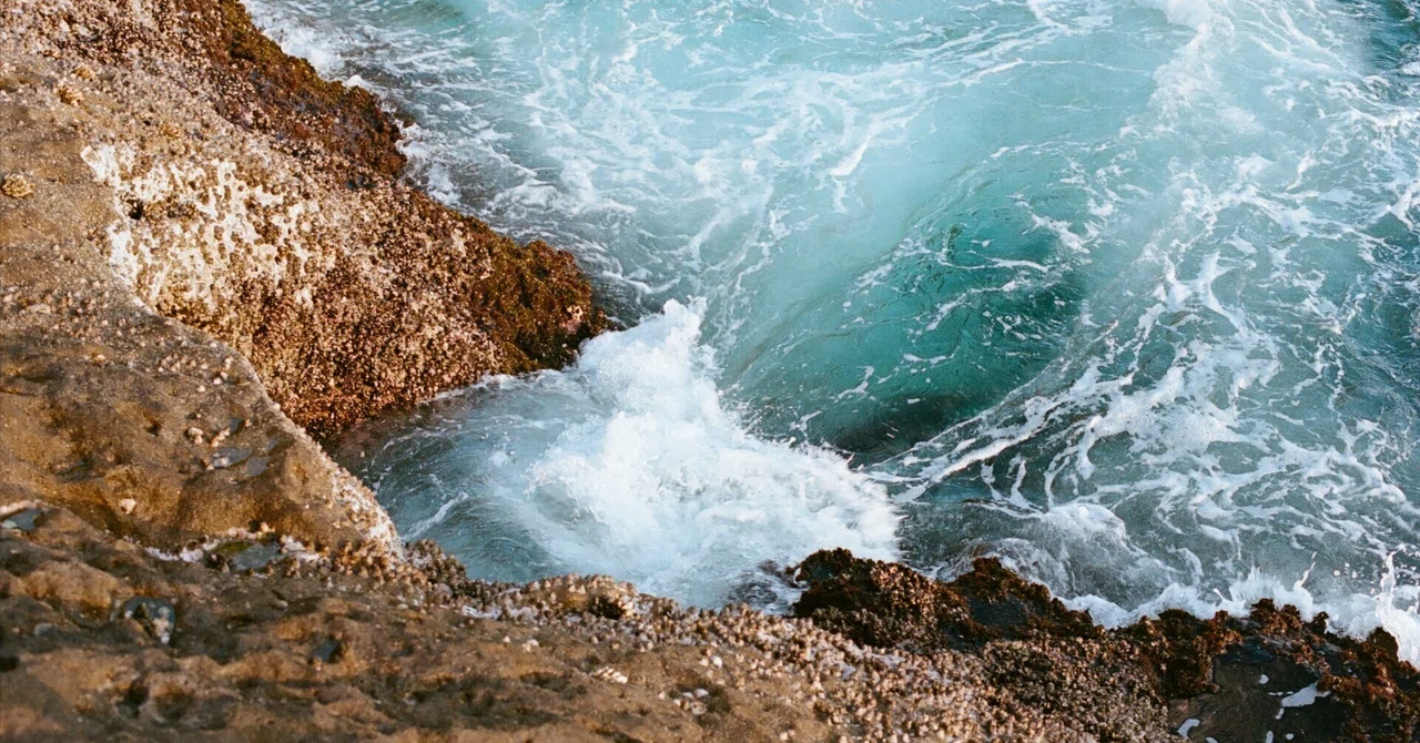 フィルムカメラにPORTRAを詰めて南の海へ ⅼ NikonFM2｜あなでじ