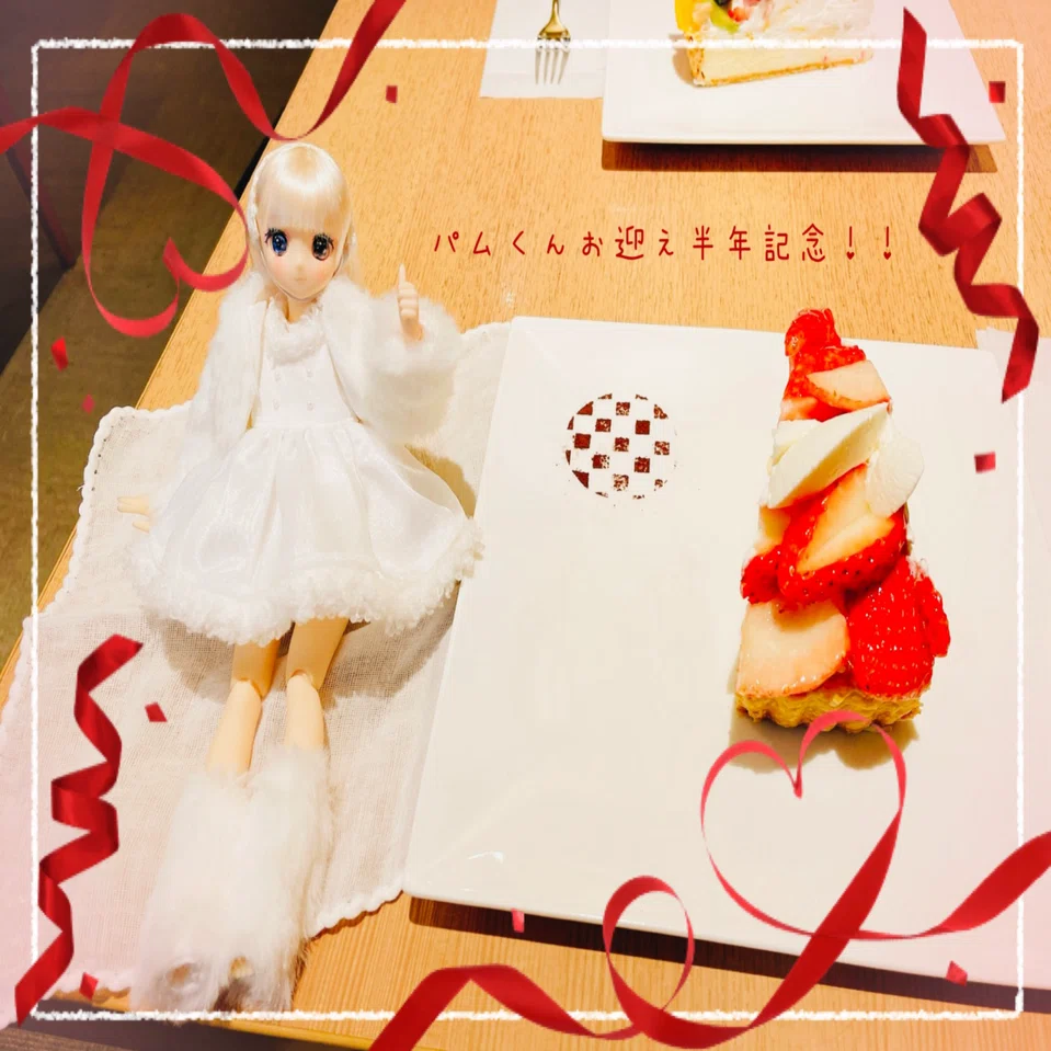 パムくんお迎え半年記念日記?｜すちゅ
