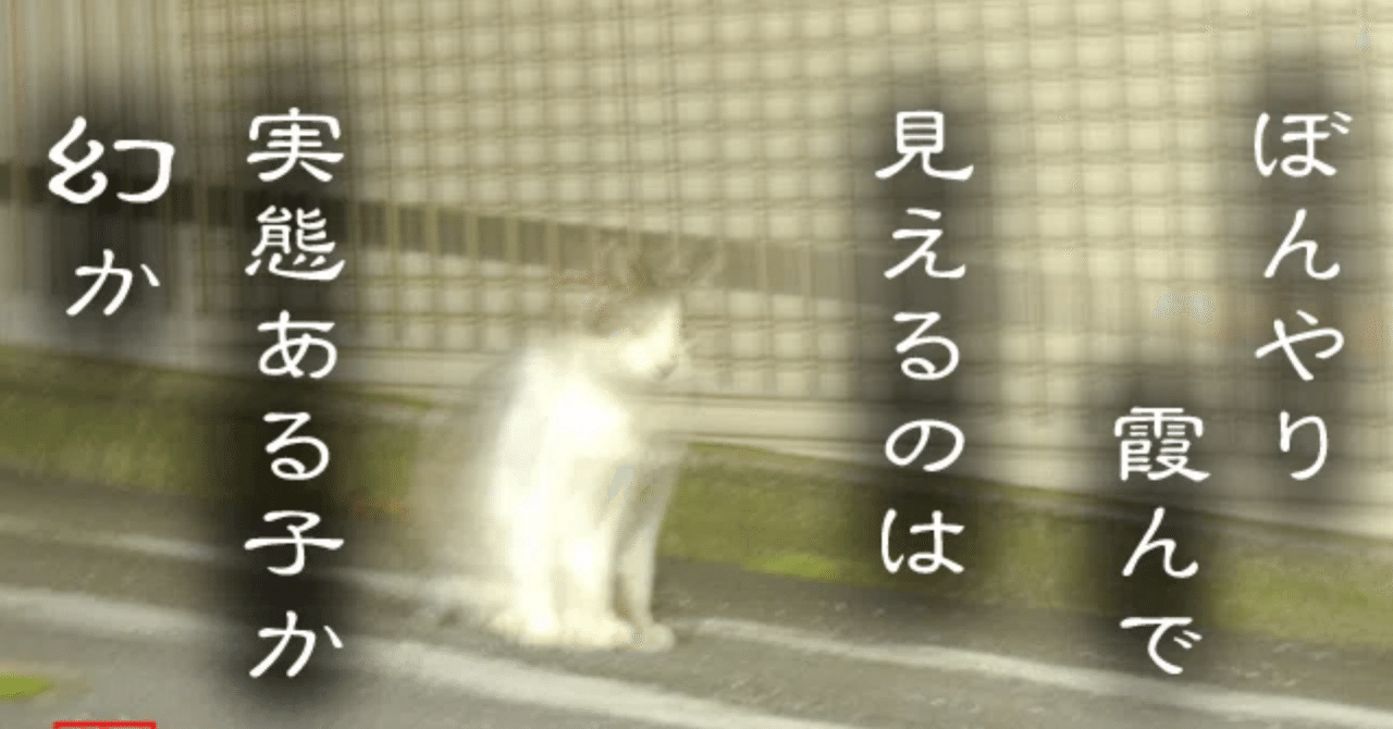 景気の良い話は幻なのか⁈｜行政書士のりょった