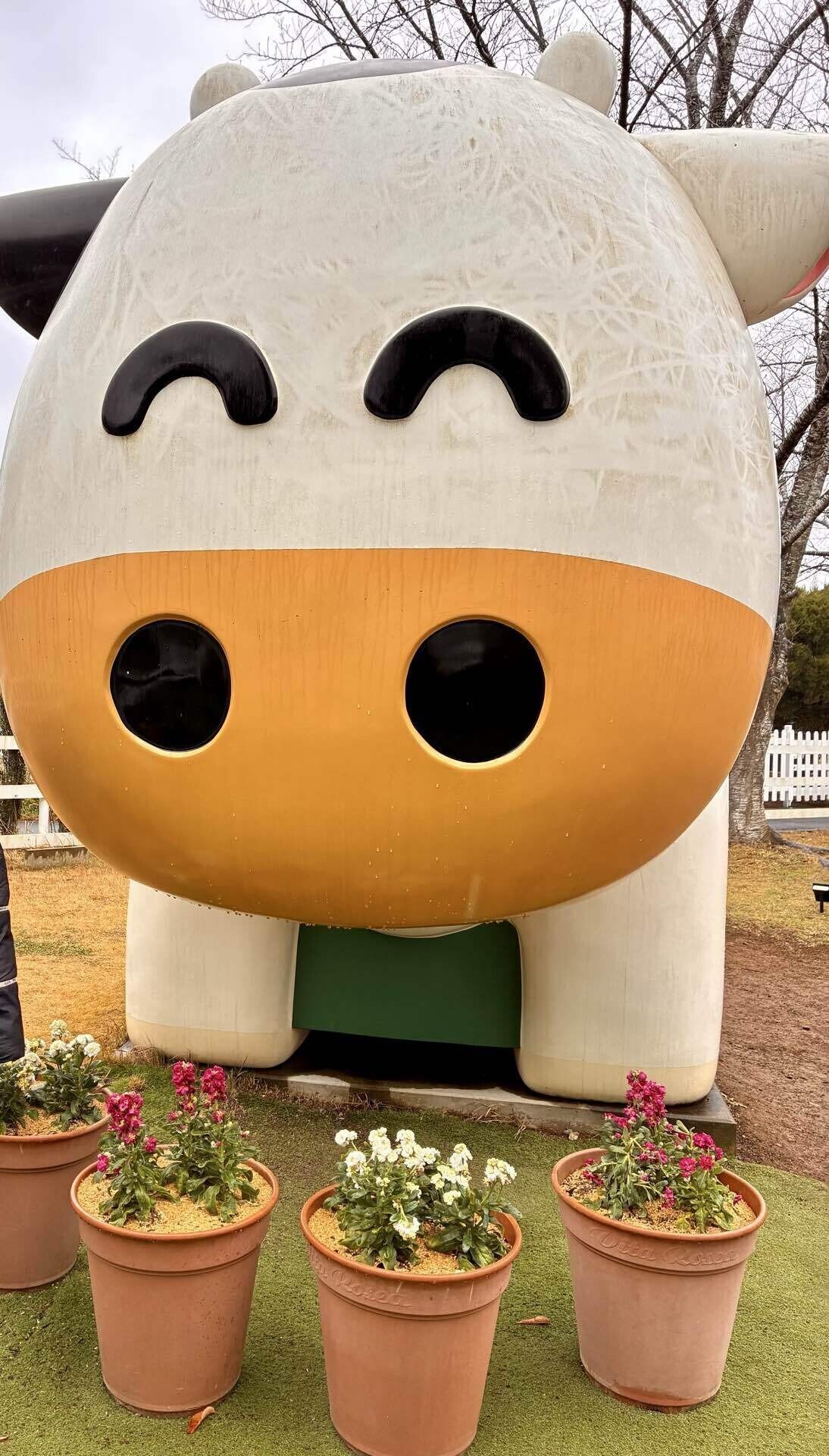 成田ゆめ牧場で知ったうさぎと推し活と魅力｜Alisのトリップダイアリー