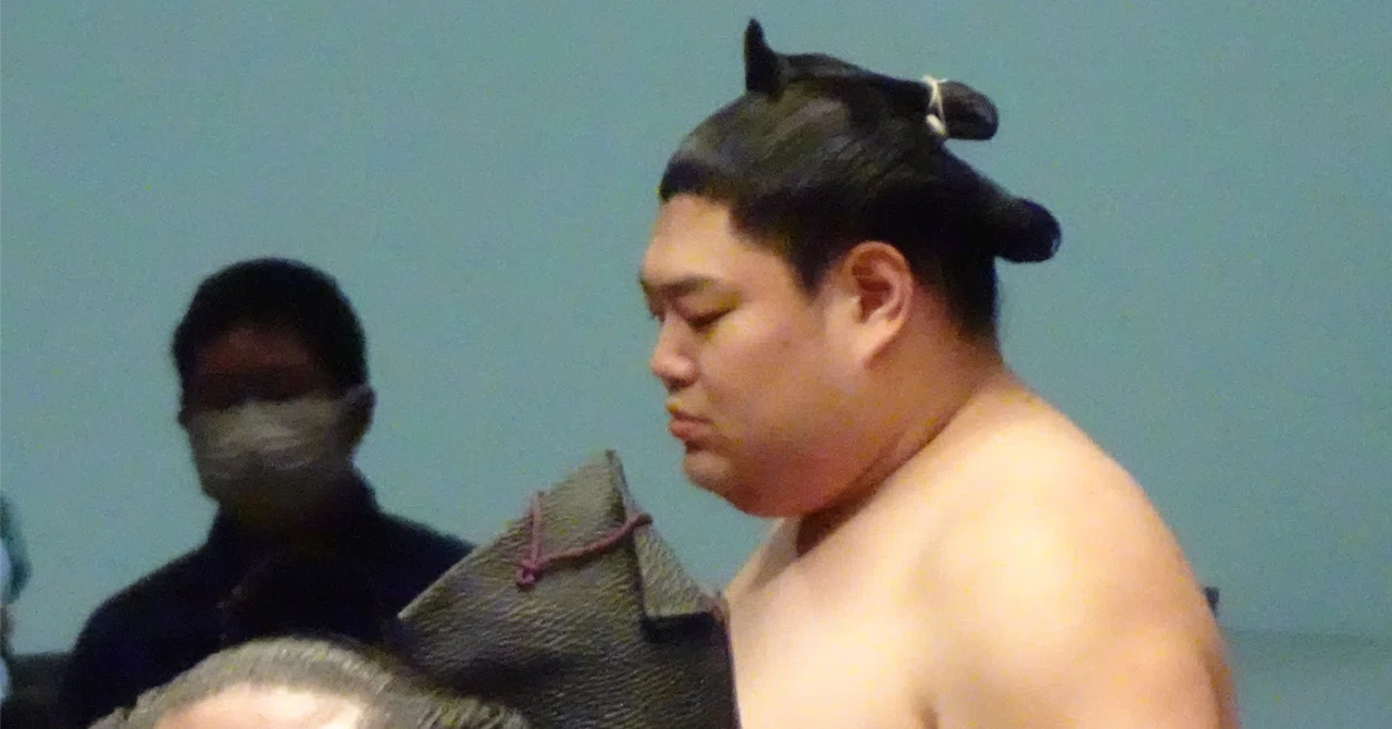 「阿炎政虎」を考える｜皮肉屋ジョー🎭世の中まぜるな危険