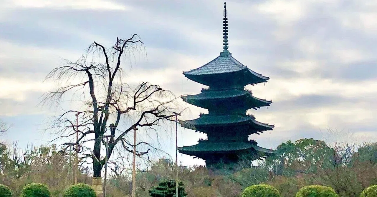 東寺 五重塔公開 京都｜にこちゃん