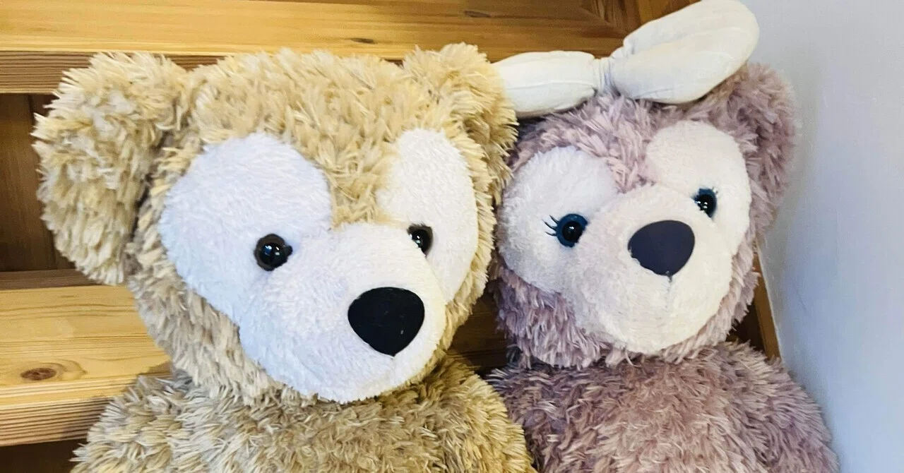 🛍️購入🛍️ ダッフィー&シェリーメイMサイズ｜ゆうり
