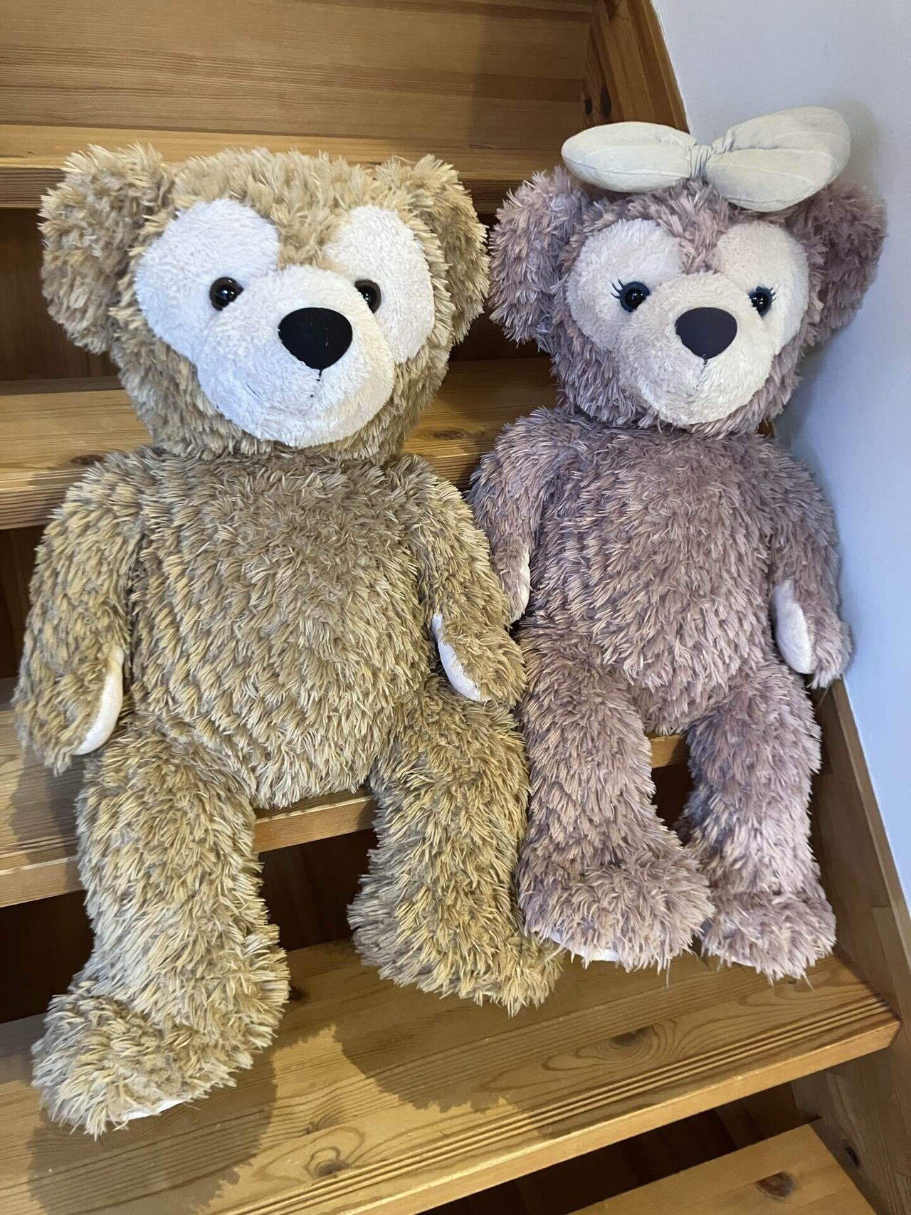 🛍️購入🛍️ ダッフィー&シェリーメイMサイズ｜ゆうり