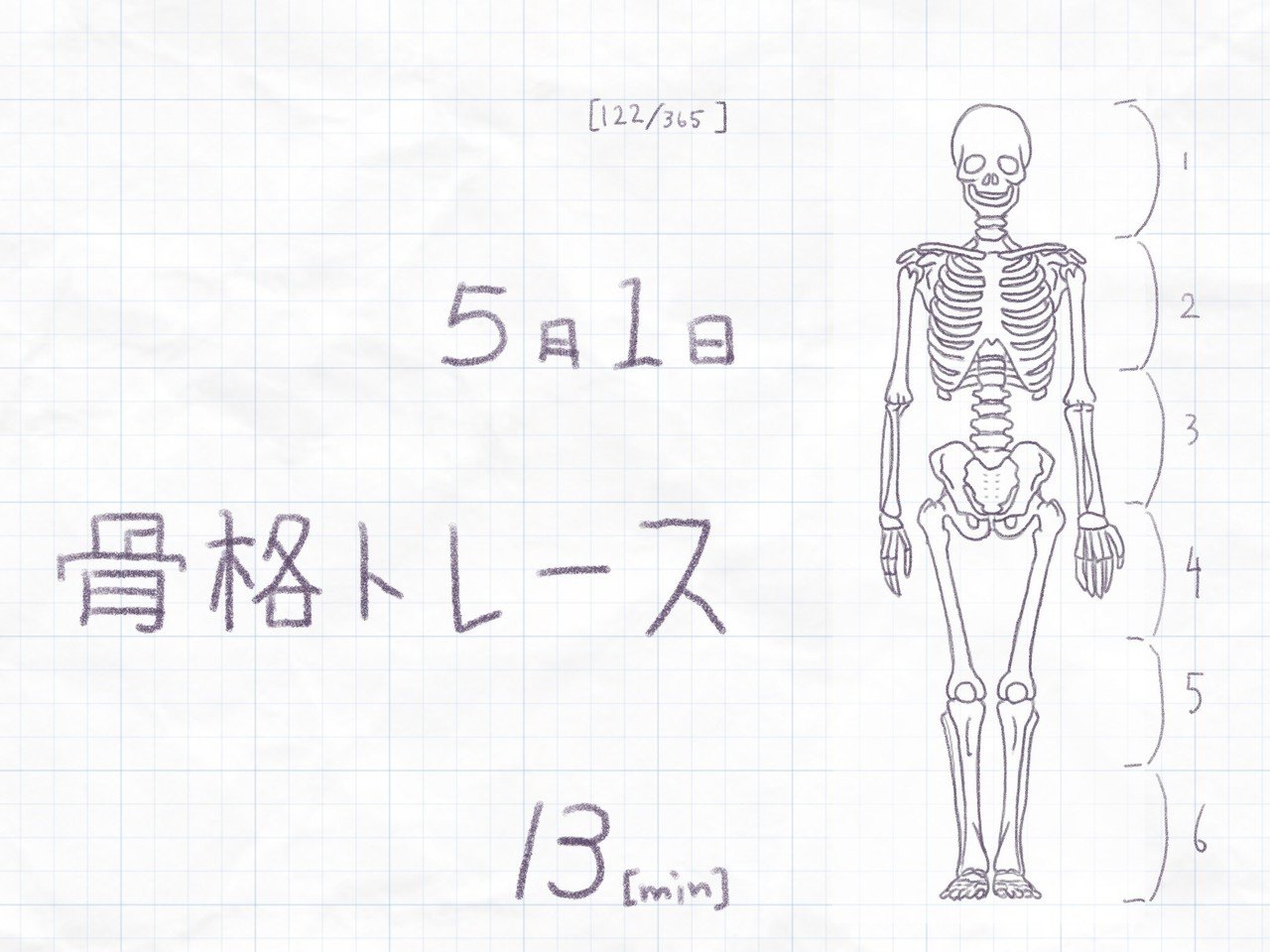 122 365 骨格練習 人生で初めて骨格をトレースした 一日一絵 いわにほ Note