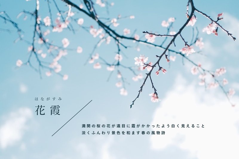 マラドロイト 鳴り響く 大胆な 美しい 日本 語 春 封筒 未亡人 地下鉄