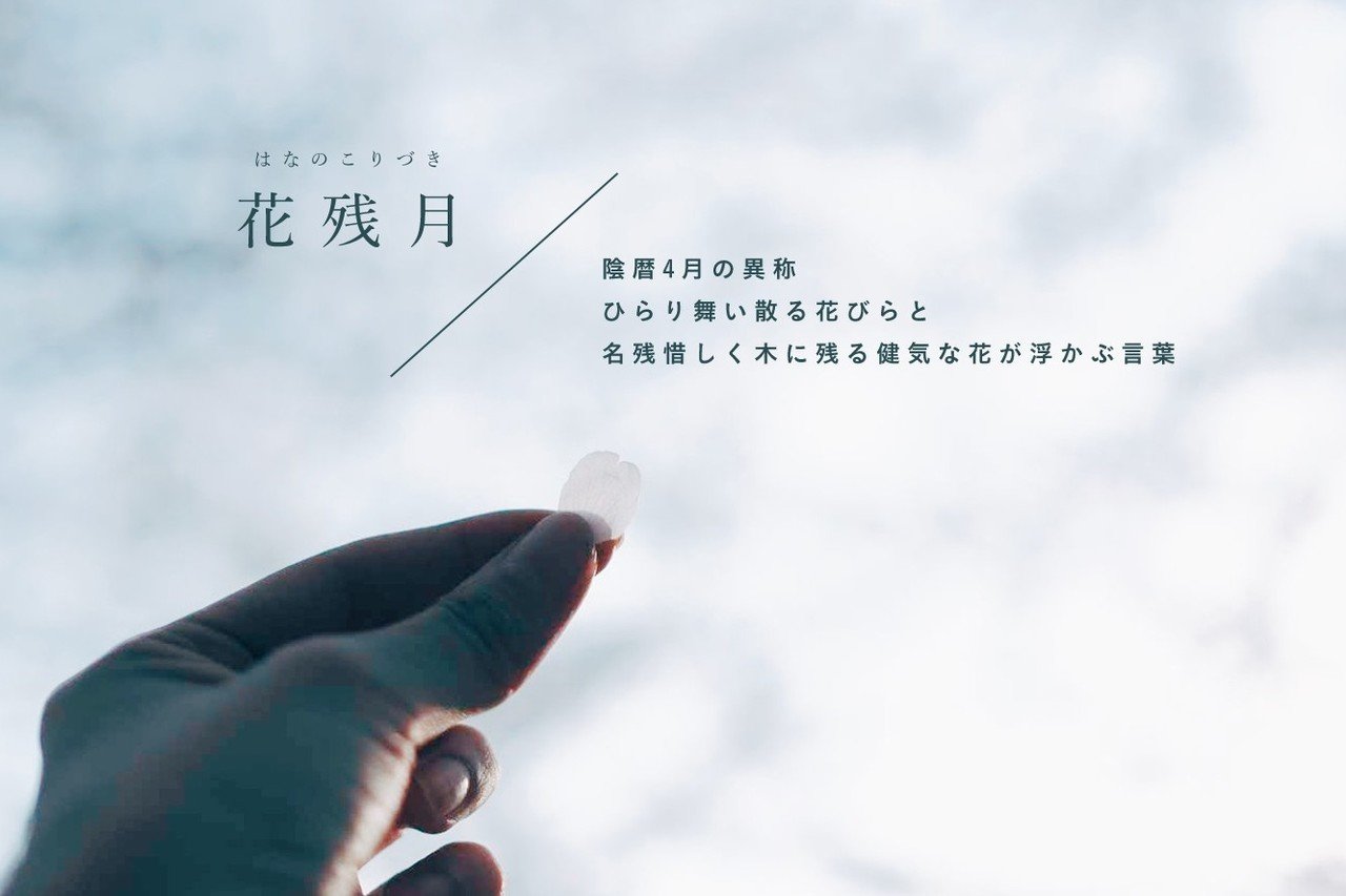 言葉と写真 4月に出会った美しい日本語と和語たち 古性のち Note 言葉と写真 4月に出会った美しい日本語と和語たち 古性のち Note