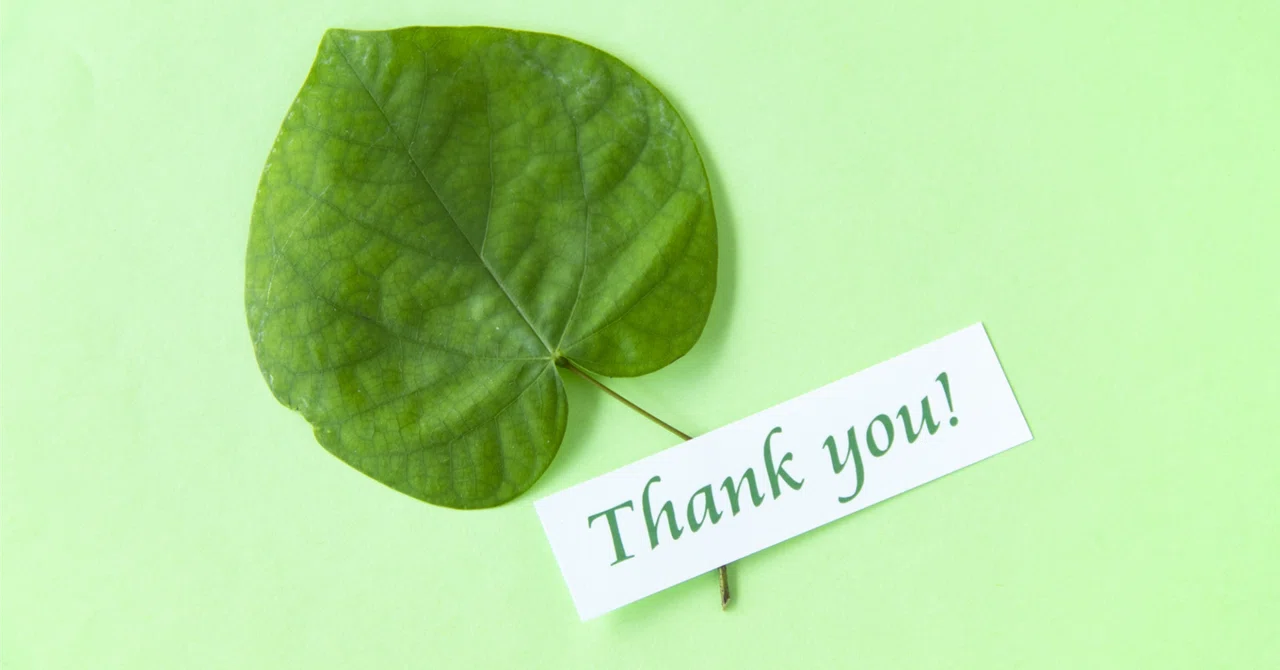 Morose Def The inability to feel gratitude wasn't because I was immature|月なつ