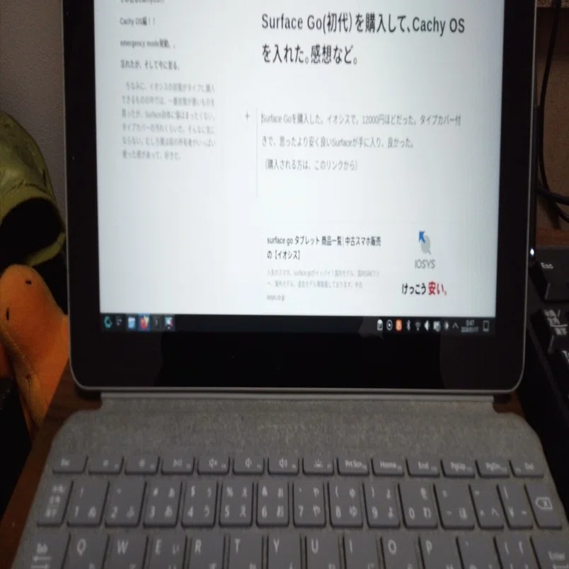 Surface Go(初代）を購入して、Cachy OSを入れた。感想など。｜goropon