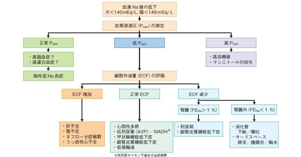 血 低 症 ナトリウム