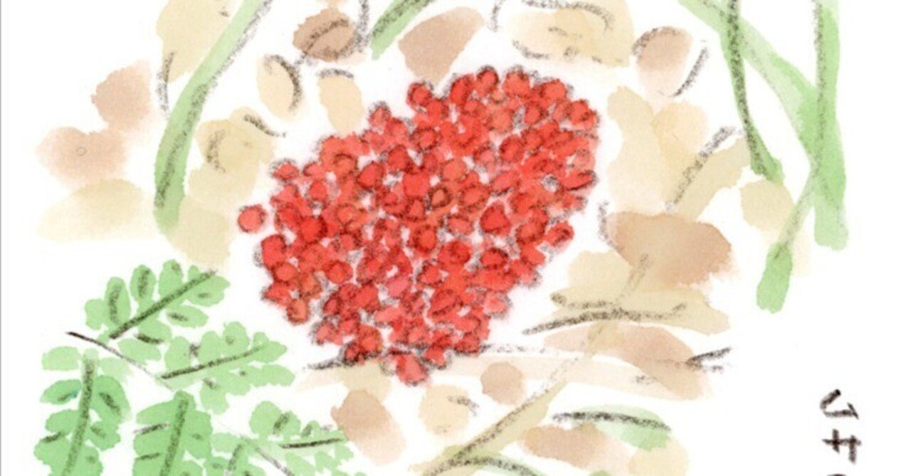 ムサシアブミの赤い実｜ほっこり絵日記