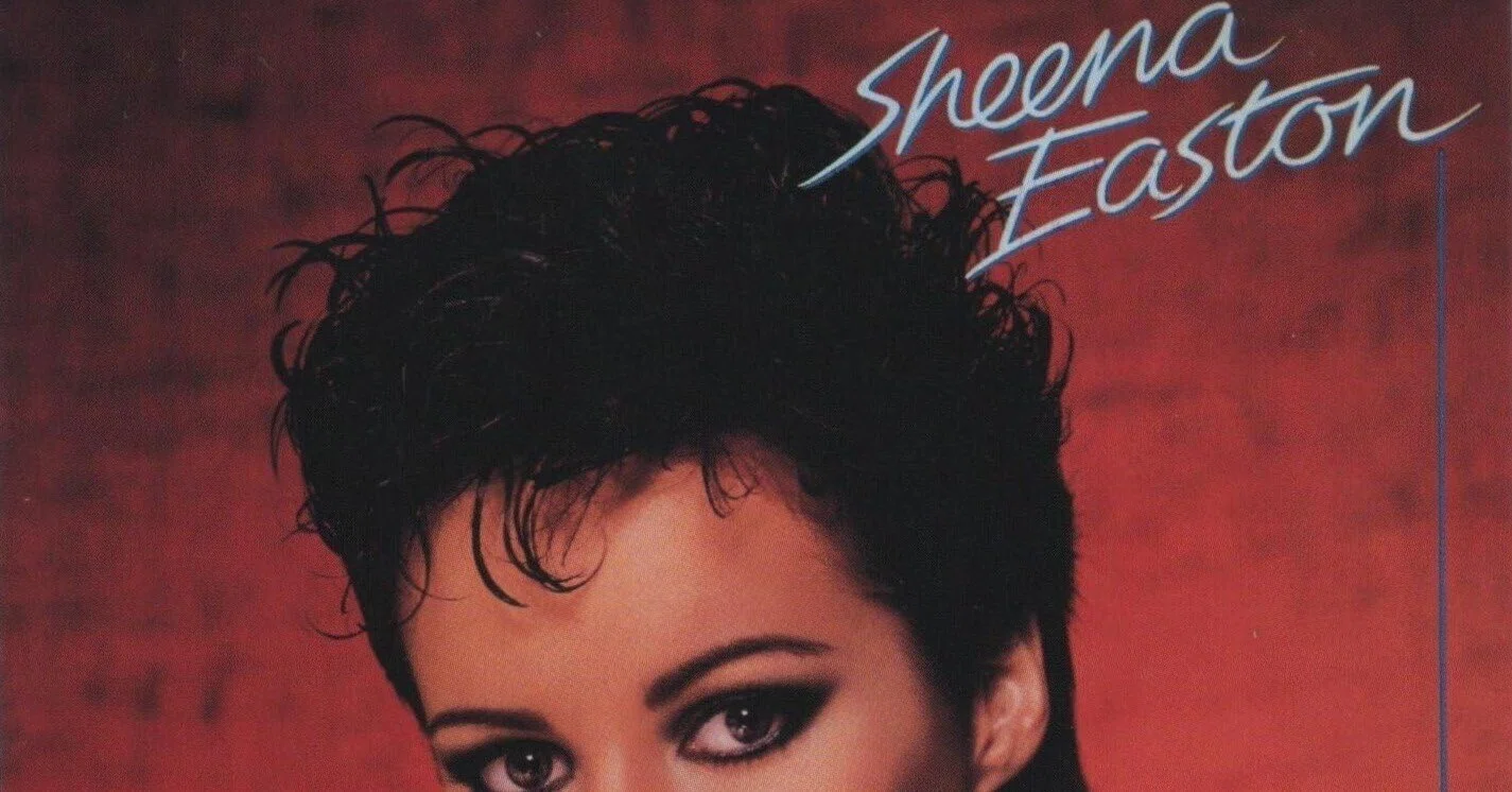 1982年ビルボード年間チャート64位】シーナ・イーストン「You Could 